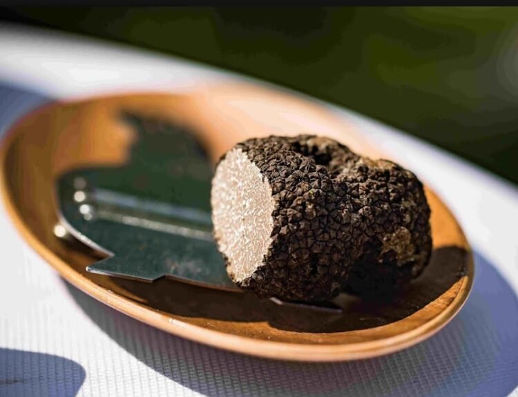 Croazia in autunno, il viaggio del gusto: tartufi, pasta istriana e ricette da provare