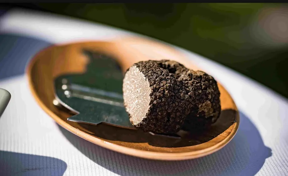 Croazia in autunno, il viaggio del gusto: tartufi, pasta istriana e ricette da provare