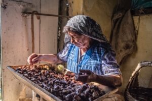 saporinews Settimana delle Castagne all’Isola d’Elba