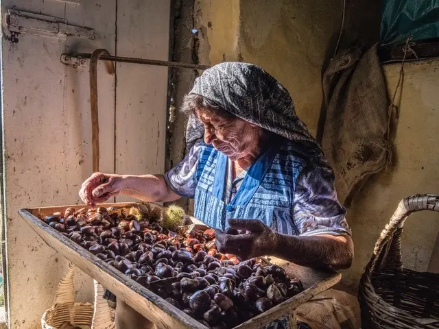 Settimana delle Castagne all’Isola d’Elba: eventi e programma